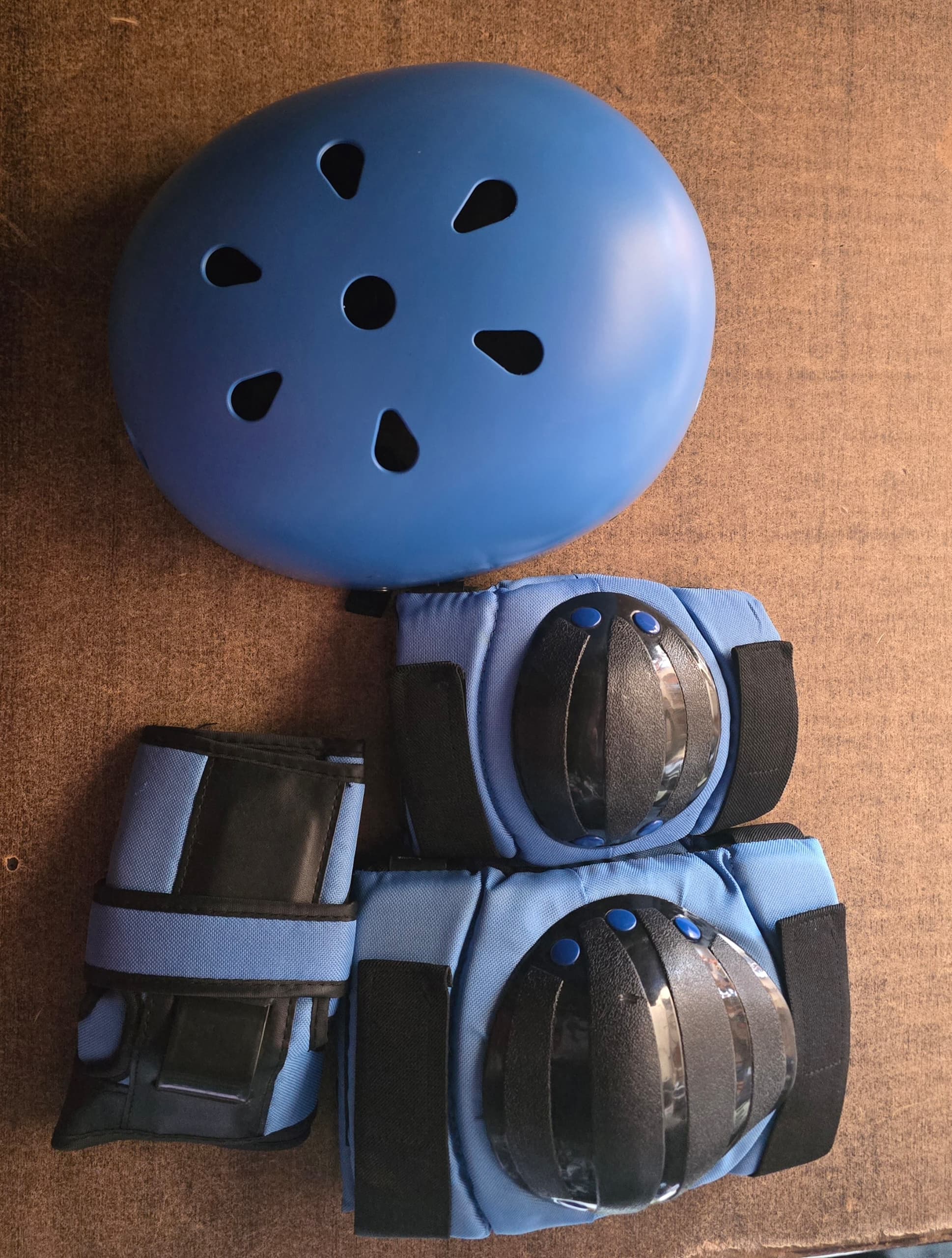 Premium Skate Bag